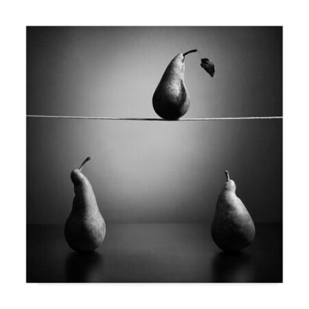 Trademark Fine Art Victoria Ivanova 'The Circus' Canvas Art, 24x24 1X06671-C2424GG